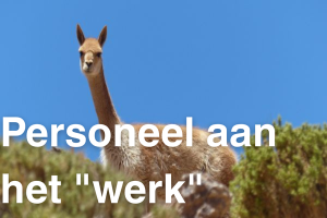 Personeel aan het 