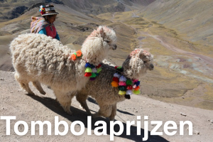 Tombolaprijzen