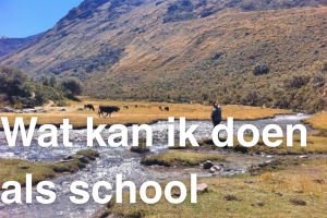 Wat kan ik doen als school