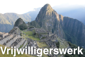 Vrijwilligerswerk