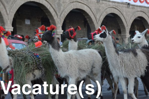 Vacature(s)
