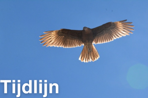 Tijdlijn